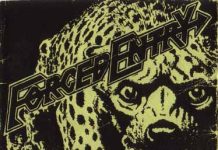 Forced Entry: Seattle’s Best Thrash