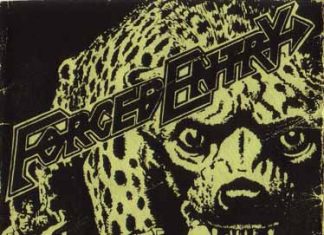 Forced Entry: Seattle’s Best Thrash