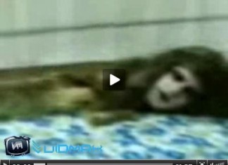 Quivering Evil Arabic Sideshow Geek