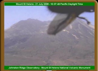Giant Fly Attacks Mount St. Helens