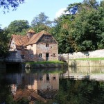 Who Are You? #8 (picturesque edition)