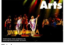 Punk’s Leading Abba Expert Sounds Off