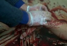 Swedish Sensationsfilms Weekly: The Bloodiest Murder