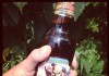 Iron Maiden’s Trooper Beer Has Landed