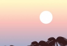 Fri 1/30, Los Angeles: David Markey Talks Punk/DIY Publishing at LA Art Book Fair