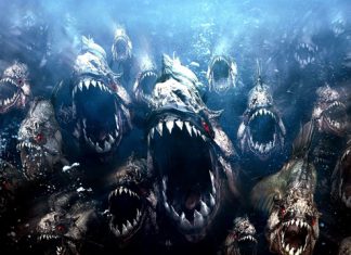 Bloody Roots of Metal: When Animals Attack! on Sirius XM