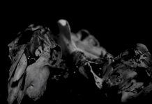 ROOTS Presents the Best 2017 Metal Debuts, Part Two, on SiriusXM