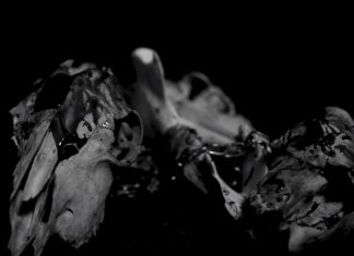 ROOTS Presents the Best 2017 Metal Debuts, Part Two, on SiriusXM