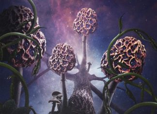 Roots 2019 Year-End Metal Instrumental Show | on SiriusXM