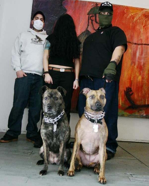 ROOTS of the DOGS OF METAL | on SiriusXM | Bazillion Points Blog